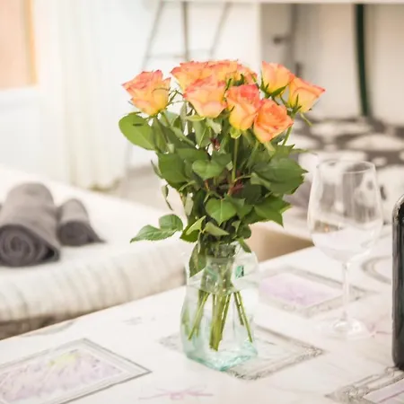 Apartament Le Chateau 4 Pers Ac Wifi Vecchia *